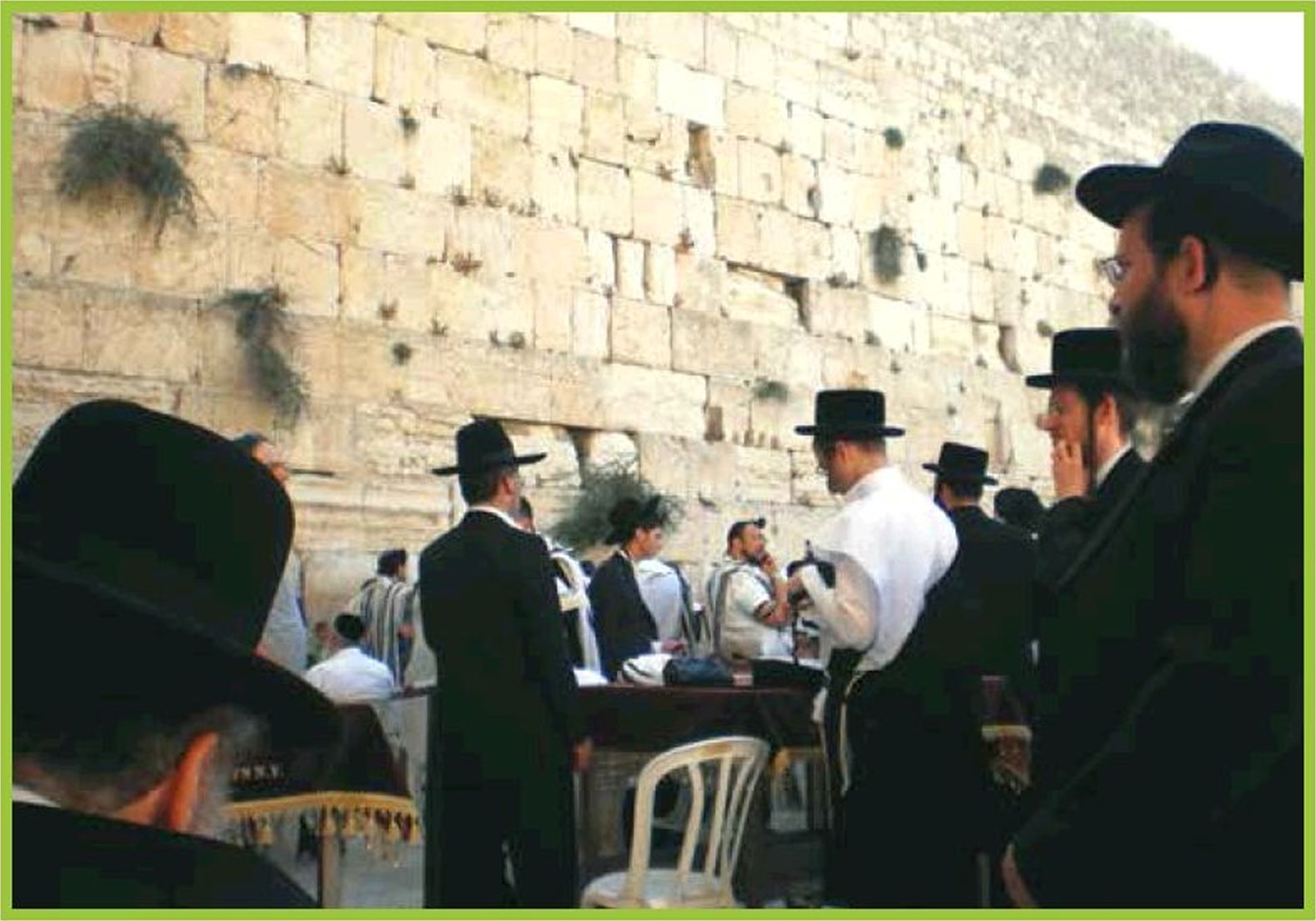 חרדים מתפללים בכותל